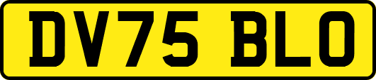 DV75BLO
