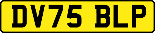 DV75BLP