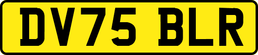 DV75BLR