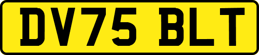 DV75BLT