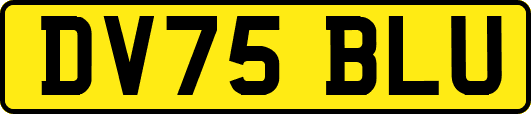 DV75BLU