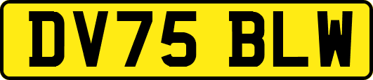 DV75BLW
