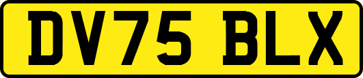 DV75BLX