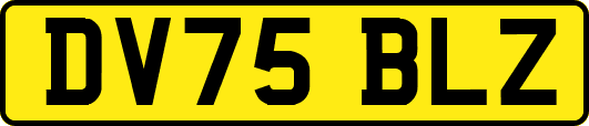 DV75BLZ