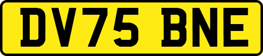 DV75BNE