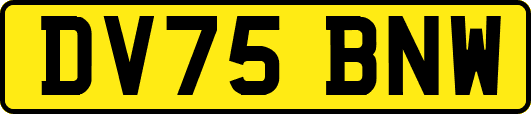 DV75BNW