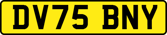 DV75BNY