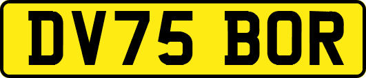 DV75BOR