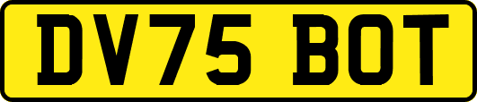 DV75BOT