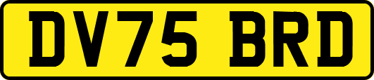 DV75BRD