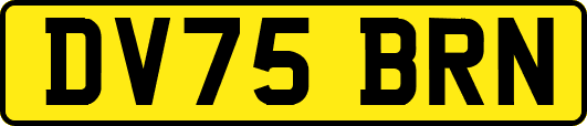DV75BRN