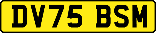 DV75BSM