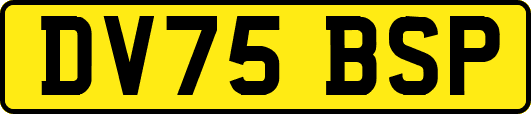 DV75BSP