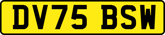 DV75BSW
