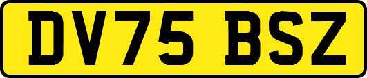 DV75BSZ