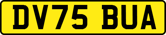 DV75BUA
