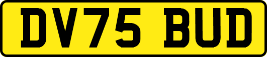 DV75BUD