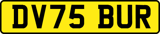 DV75BUR