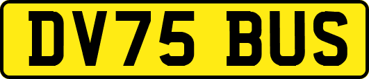 DV75BUS