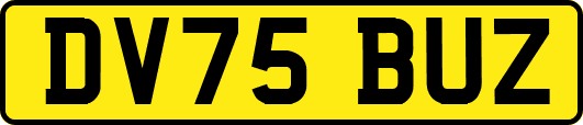 DV75BUZ
