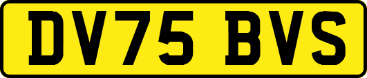 DV75BVS