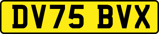 DV75BVX