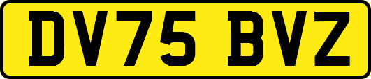 DV75BVZ