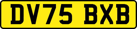 DV75BXB