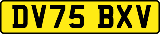 DV75BXV