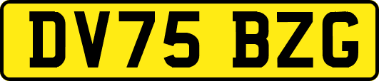 DV75BZG