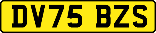 DV75BZS