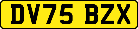 DV75BZX