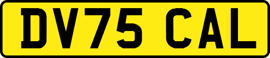 DV75CAL