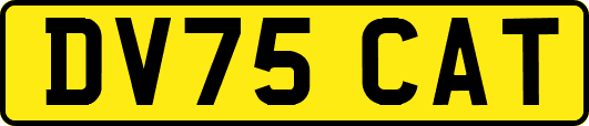 DV75CAT