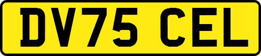DV75CEL