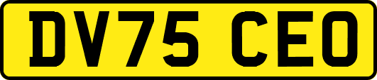 DV75CEO