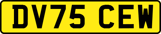 DV75CEW