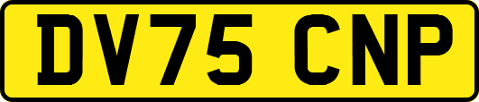 DV75CNP