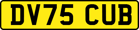DV75CUB