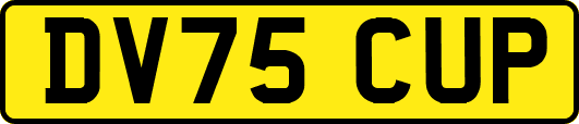 DV75CUP