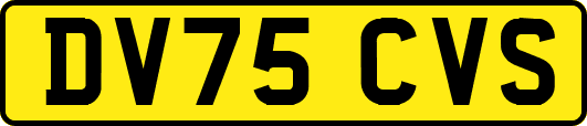 DV75CVS