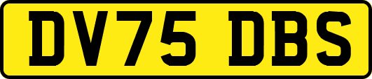 DV75DBS