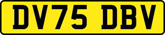 DV75DBV