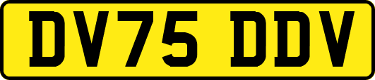 DV75DDV