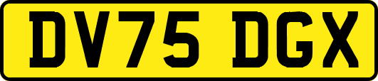 DV75DGX