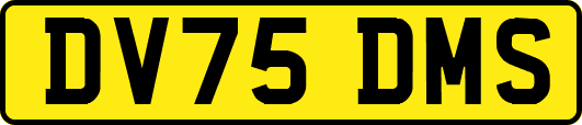 DV75DMS