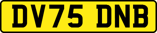 DV75DNB