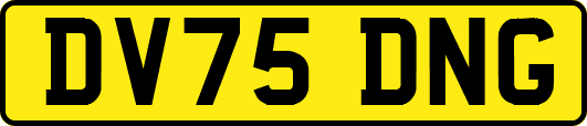 DV75DNG