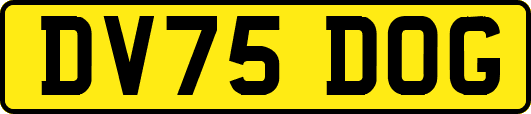 DV75DOG
