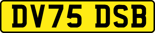 DV75DSB